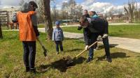 Фурмановский район участвует в Международной акции «Сад Памяти»  