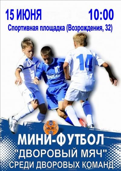 15 июня  на спортивной площадке по ул. Возрождения, д.32 пройдёт турнир по мини - футболу «Дворовый мяч»
