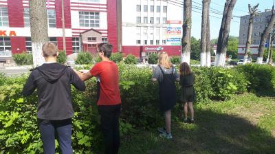 6 июня трудовой отряд отдела спорта провёл обрезку кустарника у памятника Д.А. Фурманова.