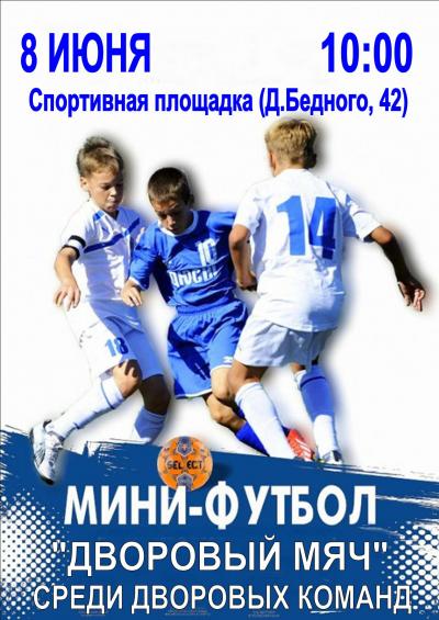 8 июня  на спортивной площадке по ул. Демьяна Бедного, д.42 пройдёт турнир по мини - футболу «Дворовый мяч». 