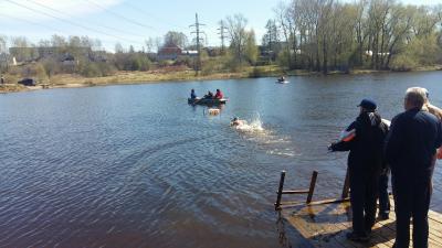 XIV Чемпионат Ивановской области в холодной воде